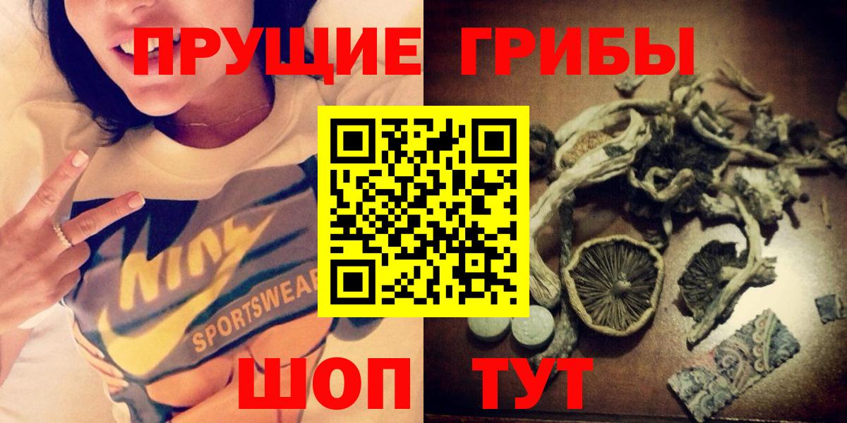 Галлюциногенные грибы GOLDEN TEACHER Тверь